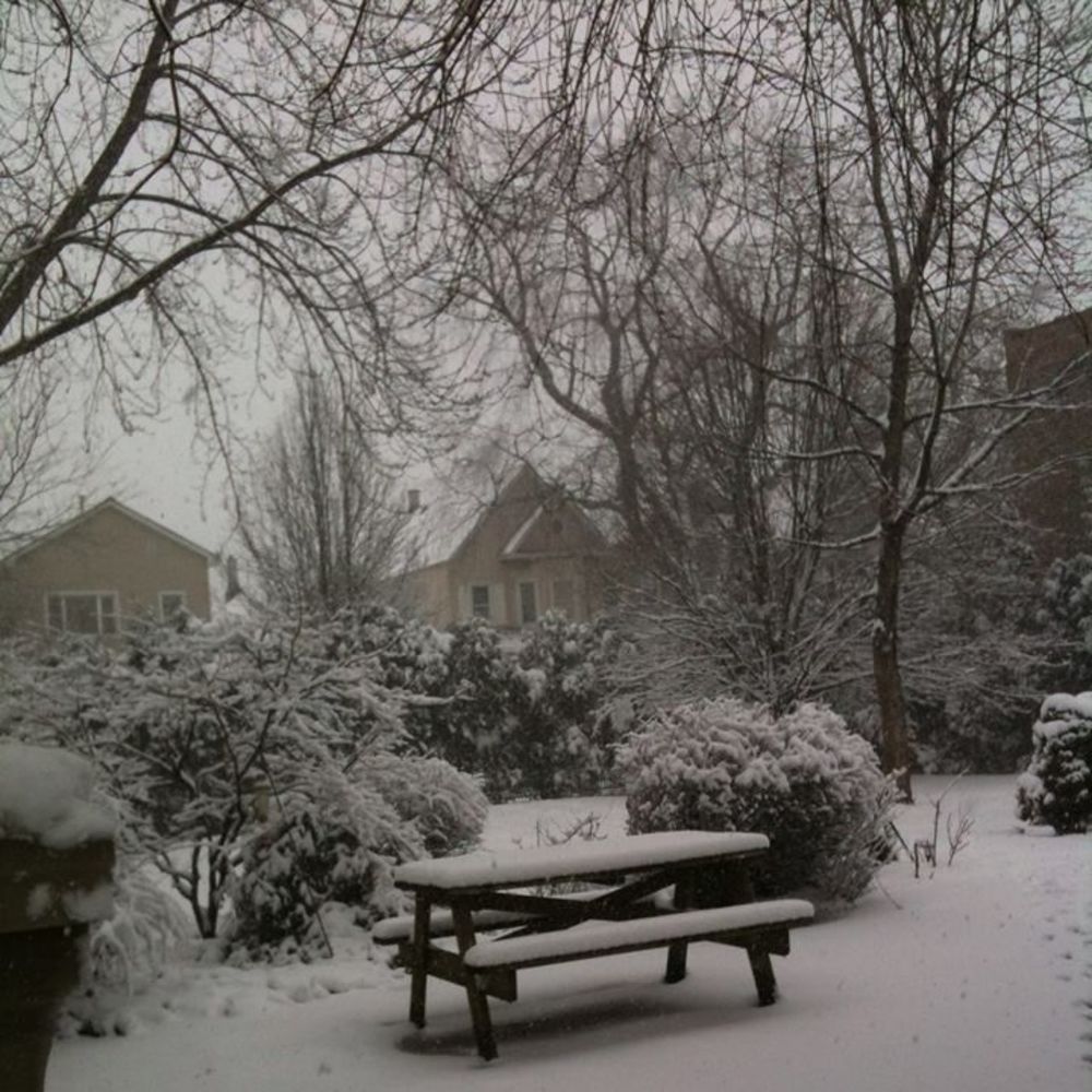 Meet your Posher, Joy